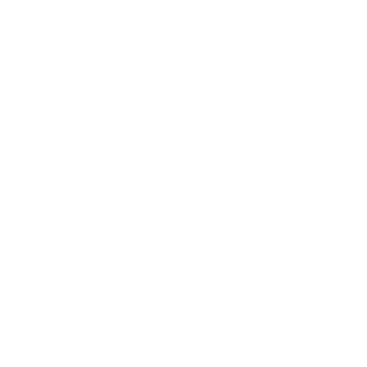 Logo Roland Berger , Ashkan Allaf, aks-production, Videoproduktionsfirma, Live-Streaming, Postproduktion, Vorproduktion, Gräfelfing